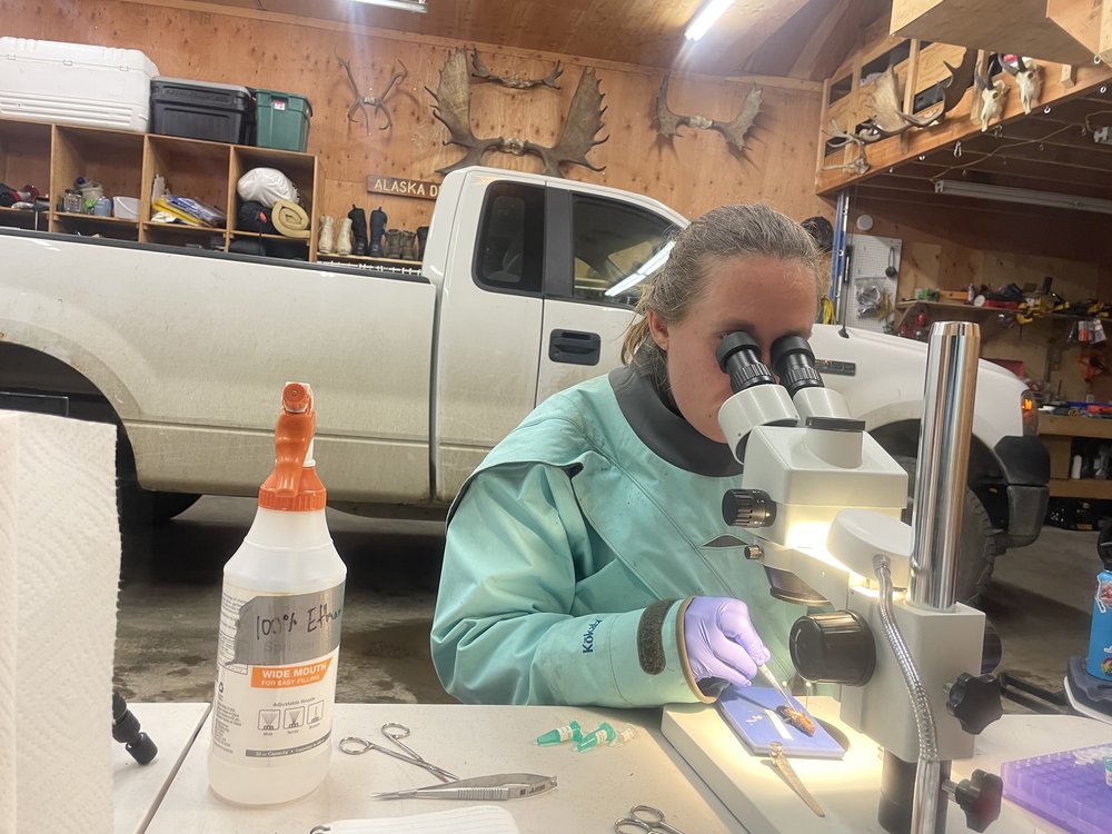 Dissections in the field